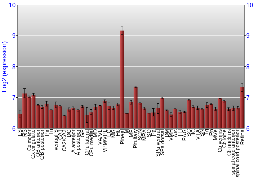 Expression graph