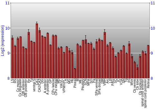 Expression graph