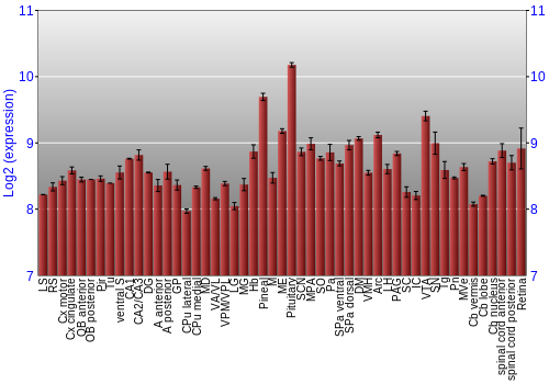 Expression graph