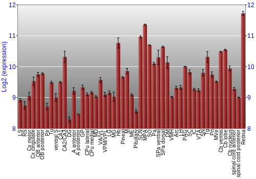 Expression graph
