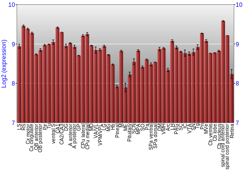 Expression graph