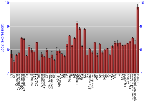 Expression graph