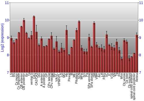 Expression graph