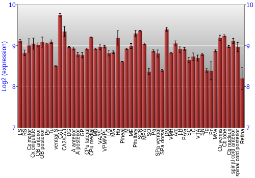 Expression graph