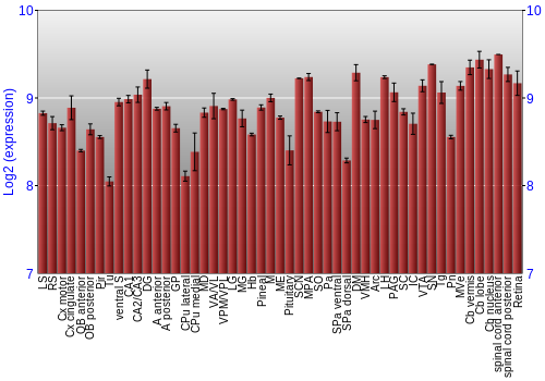 Expression graph