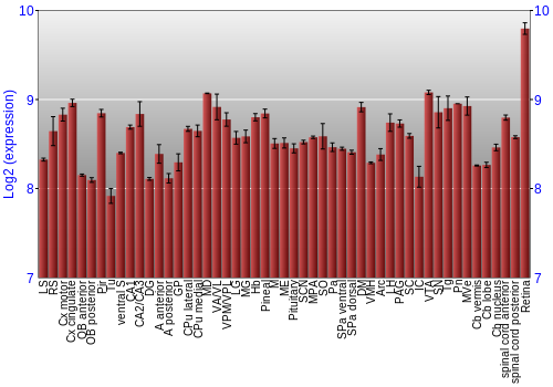 Expression graph