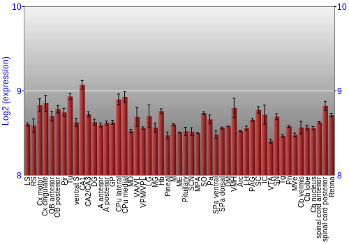 Expression graph