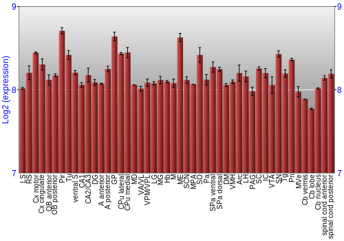 Multi-state expression graph