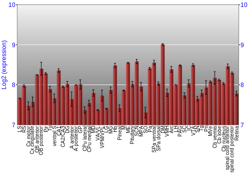 Expression graph