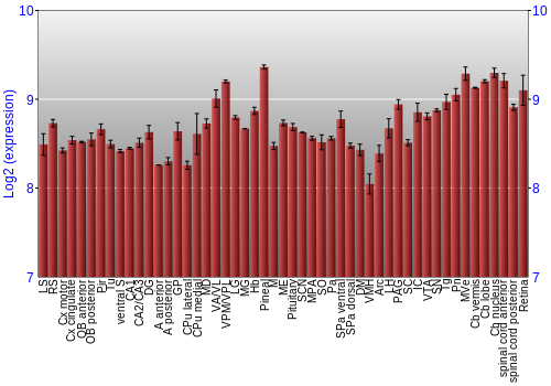 Expression graph