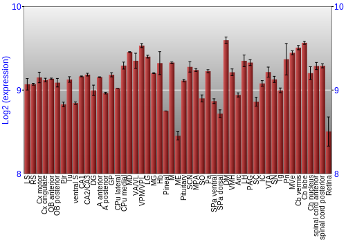 Expression graph