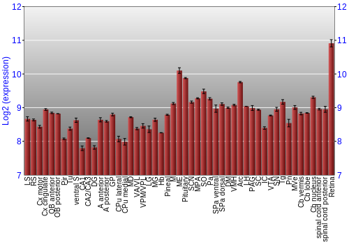 Expression graph