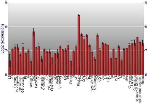 Expression graph