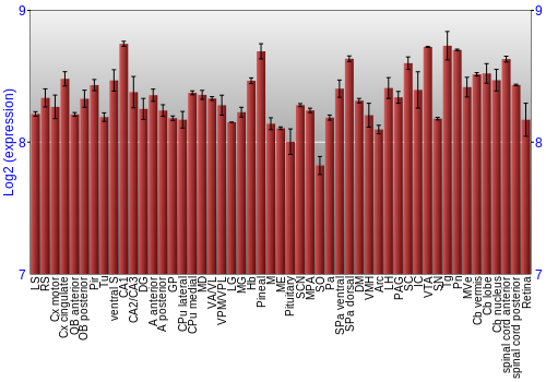 Expression graph