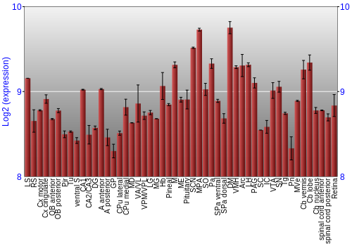 Expression graph