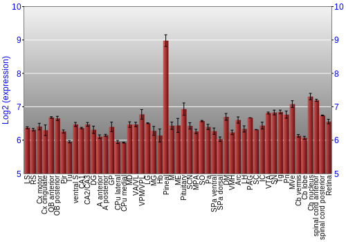 Expression graph