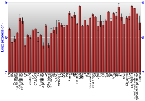 Expression graph