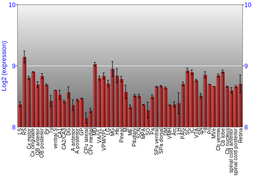 Expression graph