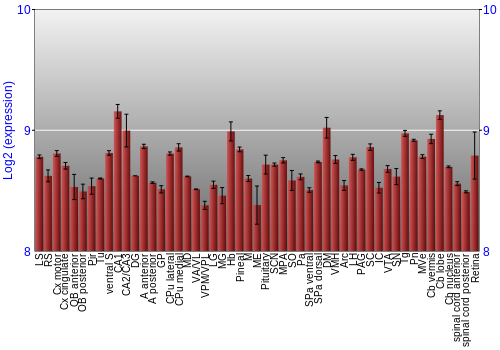 Expression graph