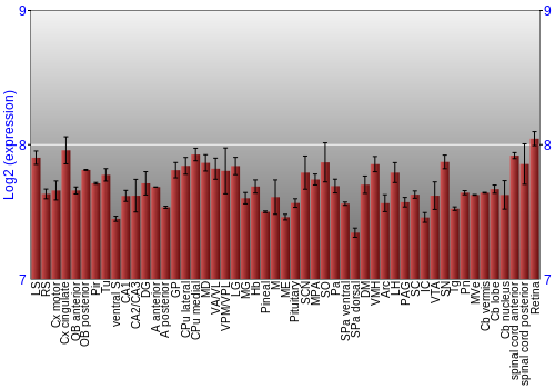 Expression graph