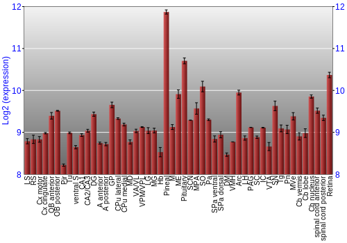 Expression graph