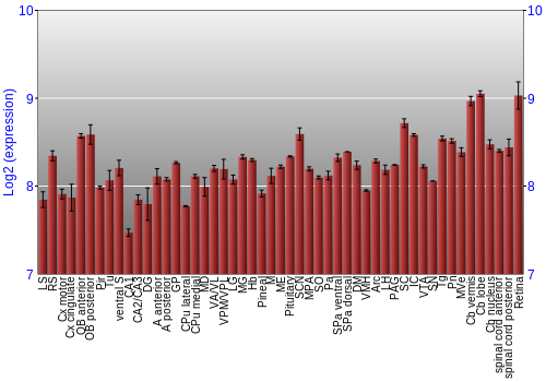 Expression graph