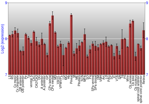 Expression graph