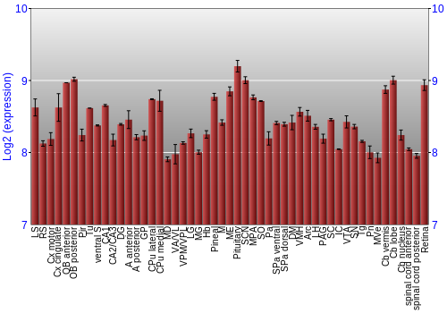 Expression graph