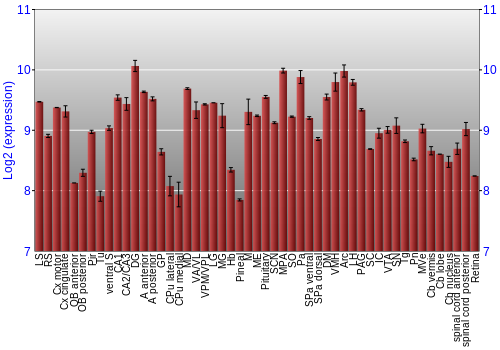 Expression graph