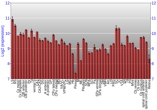 Expression graph