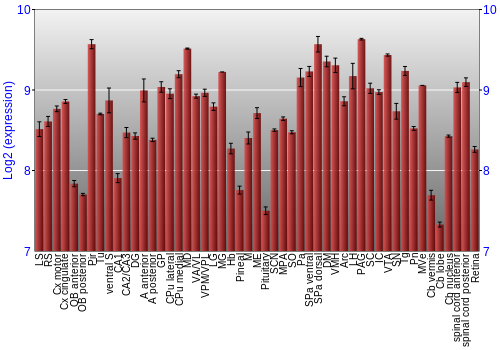Expression graph