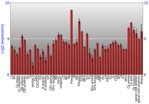 Expression graph