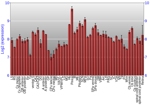 Expression graph