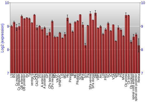 Expression graph