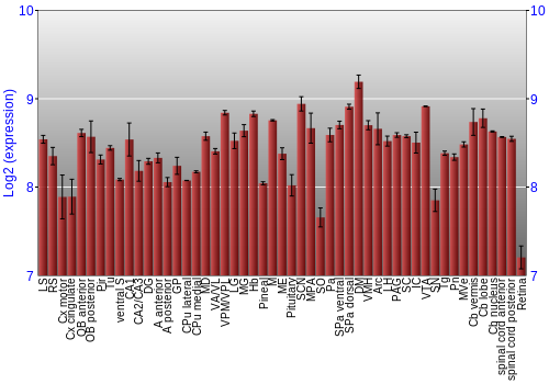 Expression graph