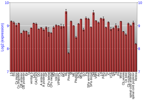 Expression graph