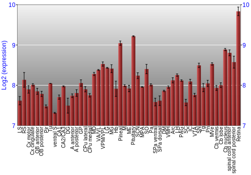Expression graph