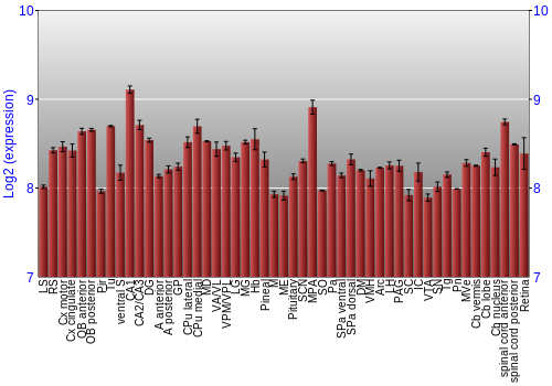 Expression graph