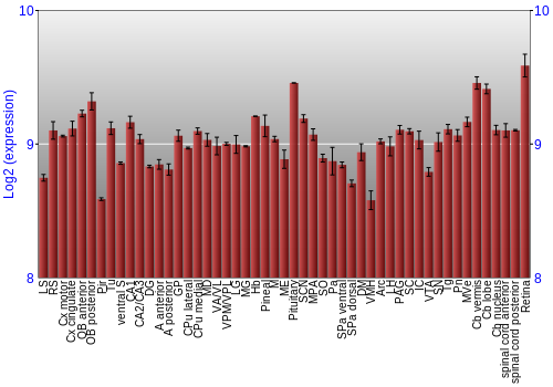 Expression graph