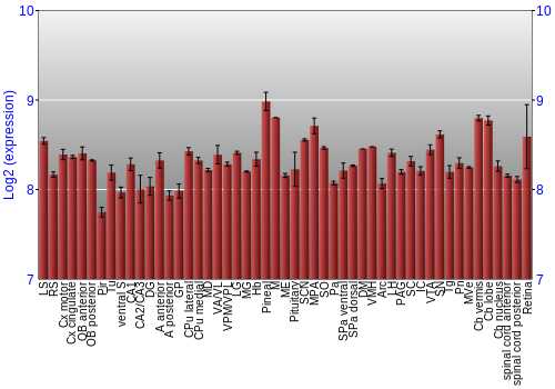 Expression graph