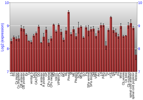 Expression graph