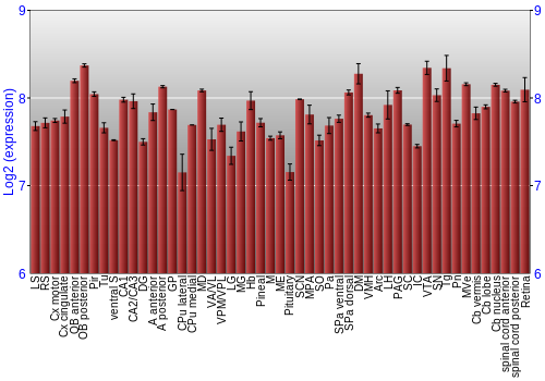 Expression graph