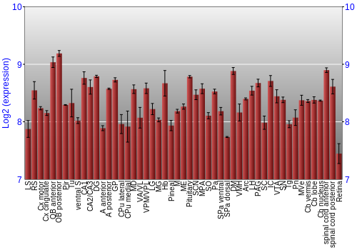 Expression graph