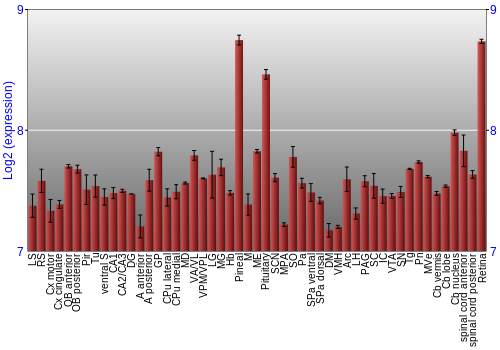 Expression graph