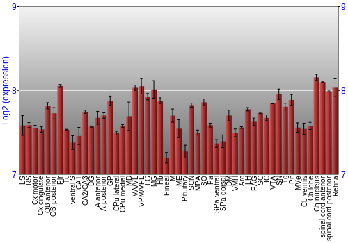 Expression graph