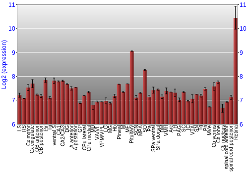 Expression graph