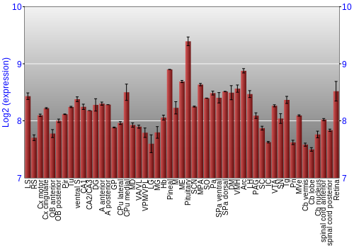 Expression graph
