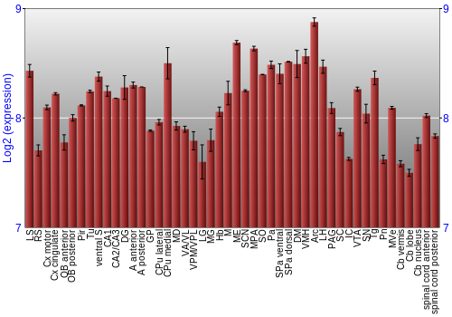 Multi-state expression graph