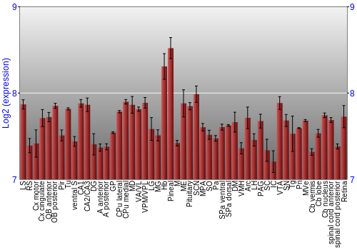 Expression graph