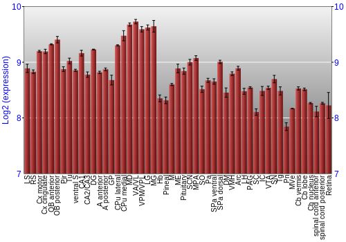 Expression graph